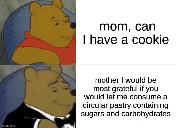 Tuxedo Winnie The Pooh Meme | mom, can I have a cookie; mother I would be most grateful if you would let me consume a circular pastry containing sugars and carbohydrates | image tagged in memes,tuxedo winnie the pooh | made w/ Imgflip meme maker