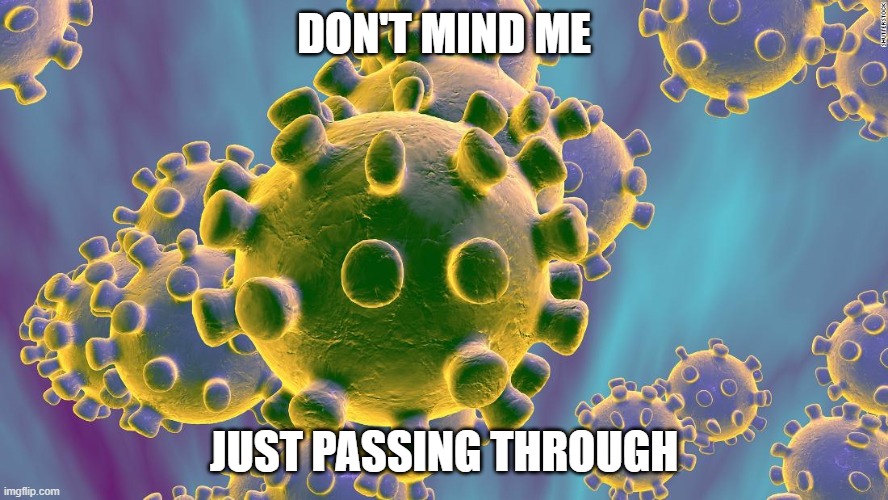 We're just a snack | DON'T MIND ME; JUST PASSING THROUGH | image tagged in coronavirus | made w/ Imgflip meme maker