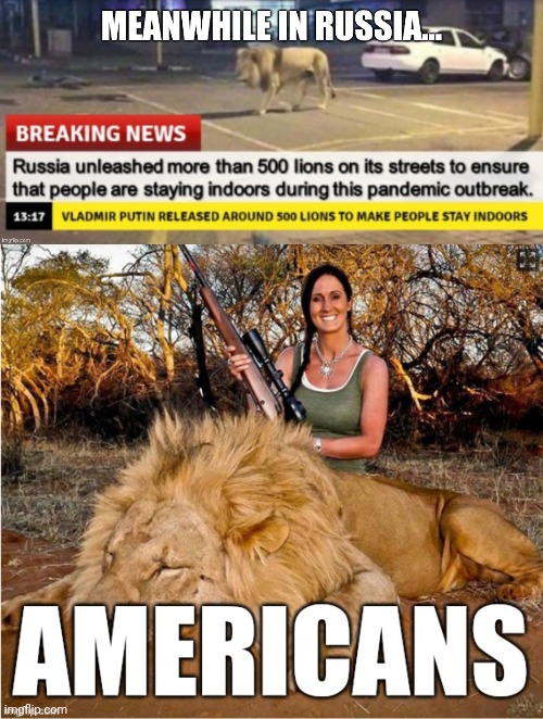 King of the jungle | image tagged in russia,american,lions,russians,americans,lion | made w/ Imgflip meme maker
