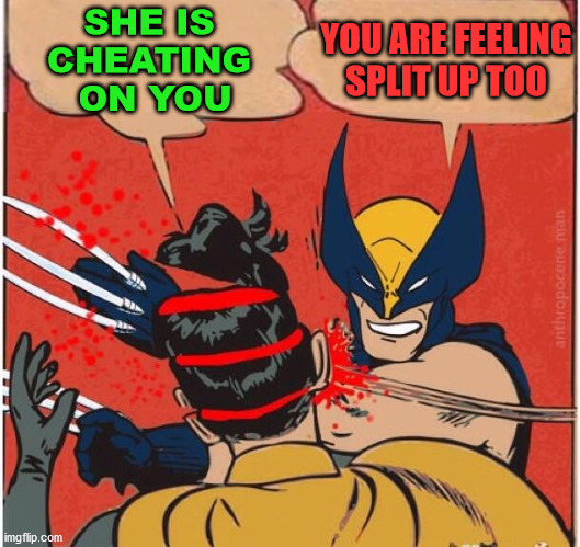 Wolverines kills robin | SHE IS 
CHEATING 
ON YOU; YOU ARE FEELING SPLIT UP TOO | image tagged in wolverines kills robin | made w/ Imgflip meme maker