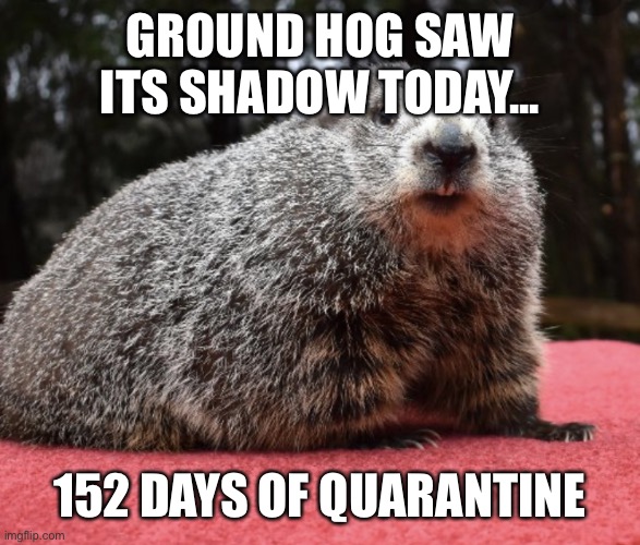 Meg J | GROUND HOG SAW ITS SHADOW TODAY... 152 DAYS OF QUARANTINE | image tagged in meg j | made w/ Imgflip meme maker