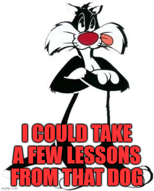 Sylvester the Cat | I COULD TAKE A FEW LESSONS FROM THAT DOG | image tagged in sylvester the cat | made w/ Imgflip meme maker