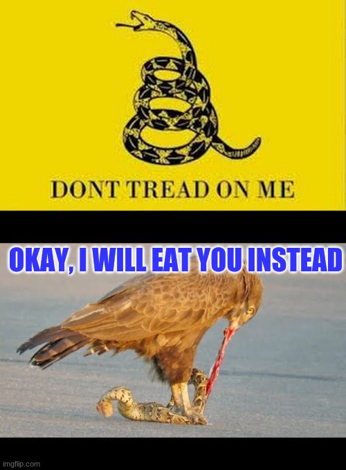 OKAY, I WILL EAT YOU INSTEAD | image tagged in colonial flag | made w/ Imgflip meme maker