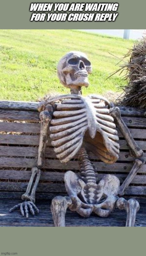 Waiting Skeleton | WHEN YOU ARE WAITING FOR YOUR CRUSH REPLY | image tagged in memes,waiting skeleton | made w/ Imgflip meme maker