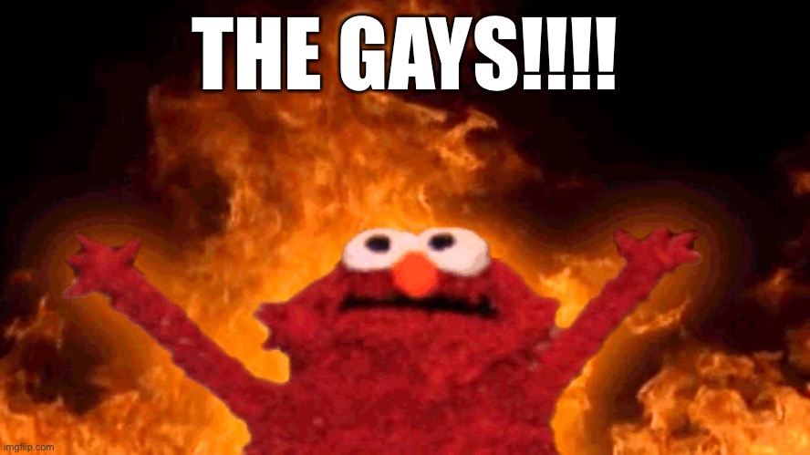 elmo fire | THE GAYS!!!! | image tagged in elmo fire | made w/ Imgflip meme maker