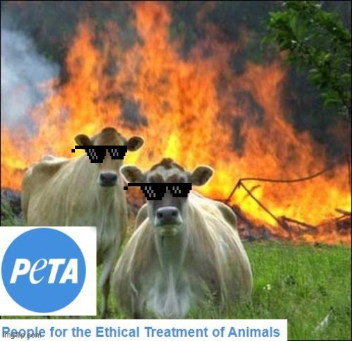 Peta Thug Life | image tagged in peta,funny animals,cows,burning barn | made w/ Imgflip meme maker