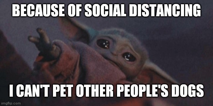 Baby yoda cry | BECAUSE OF SOCIAL DISTANCING; I CAN'T PET OTHER PEOPLE'S DOGS | image tagged in baby yoda cry | made w/ Imgflip meme maker