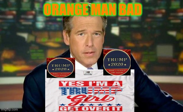 I'M A TOTAL HACK | ORANGE MAN BAD | image tagged in memes,brian williams was there,democrats,liars,msm lies,libtards | made w/ Imgflip meme maker
