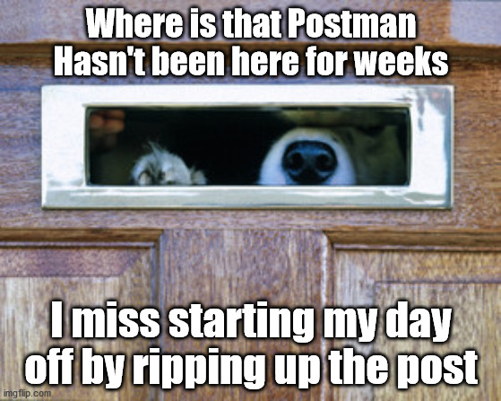 Even Dogs Are Effected By The Corona Virus | Where is that Postman
Hasn't been here for weeks; I miss starting my day off by ripping up the post | image tagged in dog,waiting | made w/ Imgflip meme maker