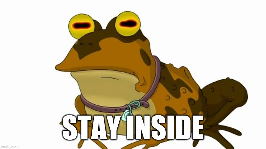 hypnotoad big | STAY INSIDE | image tagged in hypnotoad big | made w/ Imgflip meme maker