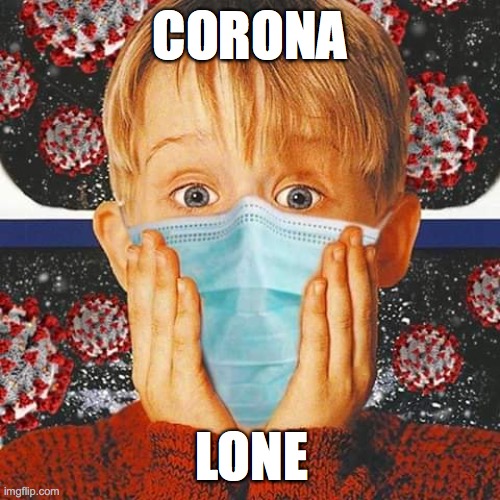 CORONA; LONE | image tagged in coronavirus,corona virus,jay,puffin,mac,home alone | made w/ Imgflip meme maker