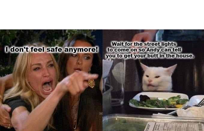 Woman Yelling At Cat | I don't feel safe anymore! Wait for the street lights
 to come on so Andy can tell you to get your butt in the house. | image tagged in memes,woman yelling at cat | made w/ Imgflip meme maker