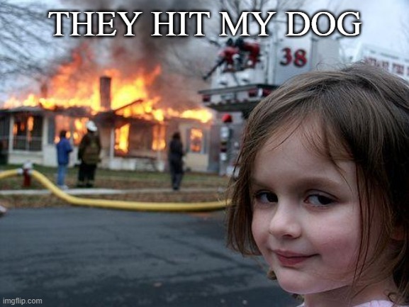 Disaster Girl Meme | THEY HIT MY DOG | image tagged in memes,disaster girl | made w/ Imgflip meme maker