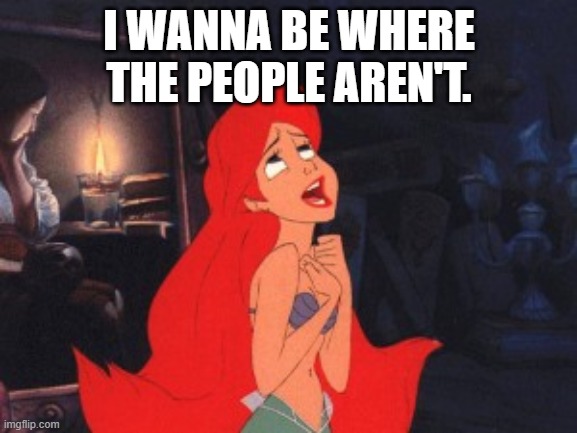 Ariel | I WANNA BE WHERE THE PEOPLE AREN'T. | image tagged in ariel | made w/ Imgflip meme maker