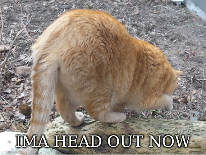 big ass | IMA HEAD OUT NOW | image tagged in big ass | made w/ Imgflip meme maker