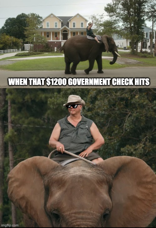 WHEN THAT $1200 GOVERNMENT CHECK HITS | image tagged in tiger king,tigerking,coronavirus,corona virus,government | made w/ Imgflip meme maker