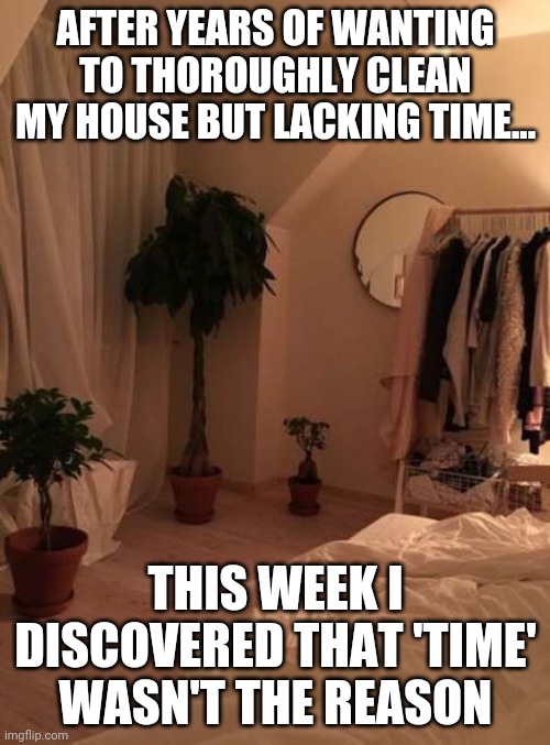 AFTER YEARS OF WANTING TO THOROUGHLY CLEAN MY HOUSE BUT LACKING TIME... THIS WEEK I DISCOVERED THAT 'TIME' WASN'T THE REASON | made w/ Imgflip meme maker