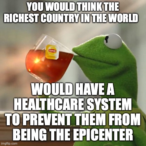 I may live in the bayou but at least I'm frog safe | YOU WOULD THINK THE RICHEST COUNTRY IN THE WORLD; WOULD HAVE A HEALTHCARE SYSTEM TO PREVENT THEM FROM BEING THE EPICENTER | image tagged in memes,but thats none of my business,kermit the frog | made w/ Imgflip meme maker