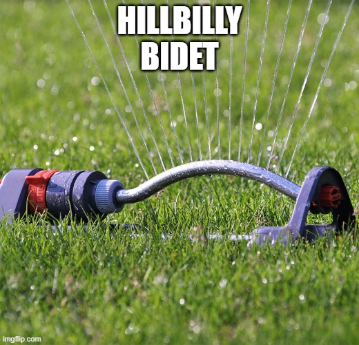 HILLBILLY
BIDET | made w/ Imgflip meme maker