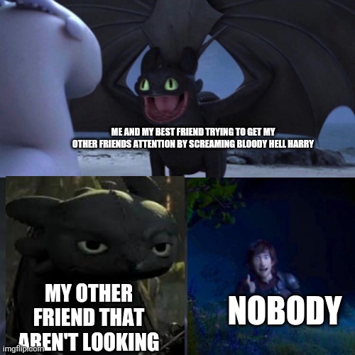 Httyd | ME AND MY BEST FRIEND TRYING TO GET MY OTHER FRIENDS ATTENTION BY SCREAMING BLOODY HELL HARRY; MY OTHER FRIEND THAT AREN'T LOOKING; NOBODY | image tagged in httyd | made w/ Imgflip meme maker