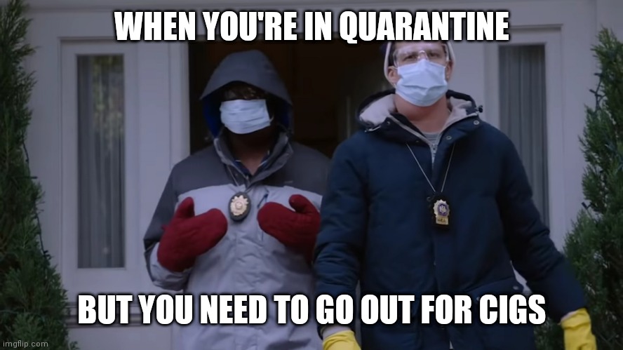 When you have to go outside | WHEN YOU'RE IN QUARANTINE; BUT YOU NEED TO GO OUT FOR CIGS | image tagged in brooklyn nine nine,quarantine,cigarettes,lockdown | made w/ Imgflip meme maker