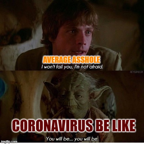 AVERAGE ASSHOLE; CORONAVIRUS BE LIKE | image tagged in coronavirus,corona virus,yoda,star wars,luke skywalker | made w/ Imgflip meme maker