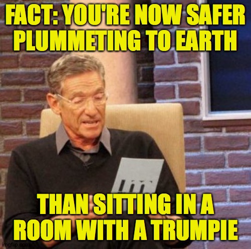 Maury Lie Detector Meme | FACT: YOU'RE NOW SAFER
PLUMMETING TO EARTH THAN SITTING IN A
ROOM WITH A TRUMPIE | image tagged in memes,maury lie detector | made w/ Imgflip meme maker