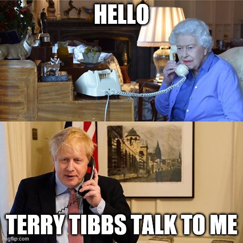 Liz & Boz | HELLO; TERRY TIBBS TALK TO ME | image tagged in politics | made w/ Imgflip meme maker