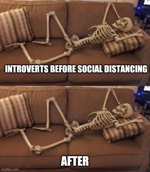 INTROVERTS BEFORE SOCIAL DISTANCING; AFTER | image tagged in skeleton on couch | made w/ Imgflip meme maker