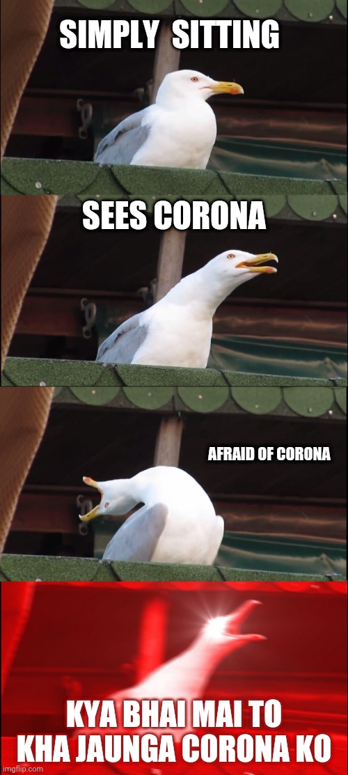 Inhaling Seagull Meme | SIMPLY  SITTING; SEES CORONA; AFRAID OF CORONA; KYA BHAI MAI TO KHA JAUNGA CORONA KO | image tagged in memes,inhaling seagull | made w/ Imgflip meme maker