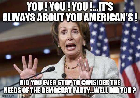 yep | YOU ! YOU ! YOU !...IT'S ALWAYS ABOUT YOU AMERICAN'S ! DID YOU EVER STOP TO CONSIDER THE NEEDS OF THE DEMOCRAT PARTY...WELL DID YOU ? | image tagged in democrats,nancy pelosi,joe biden,2020 elections | made w/ Imgflip meme maker