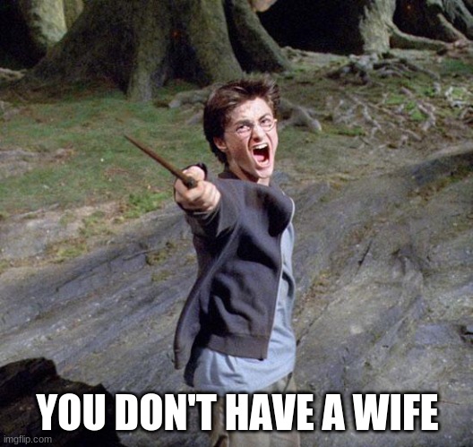 Harry potter | YOU DON'T HAVE A WIFE | image tagged in harry potter | made w/ Imgflip meme maker