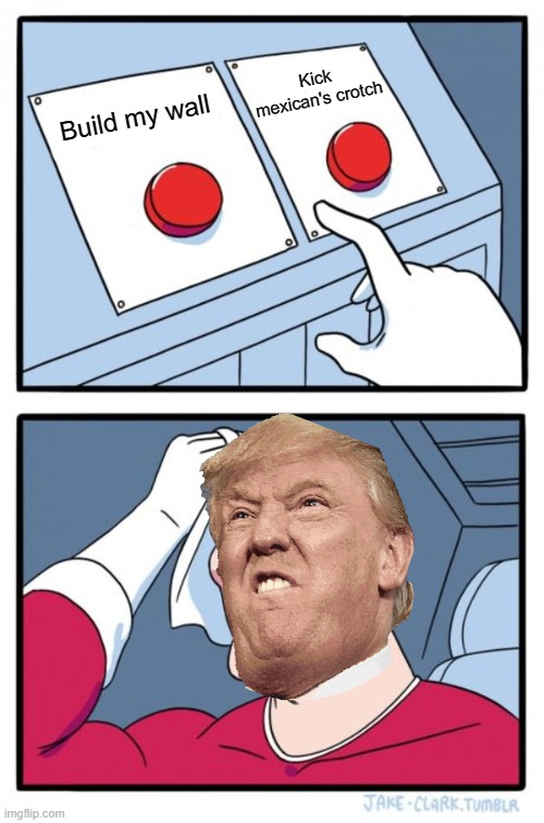 Two Buttons Meme | Kick mexican's crotch; Build my wall | image tagged in memes,two buttons | made w/ Imgflip meme maker