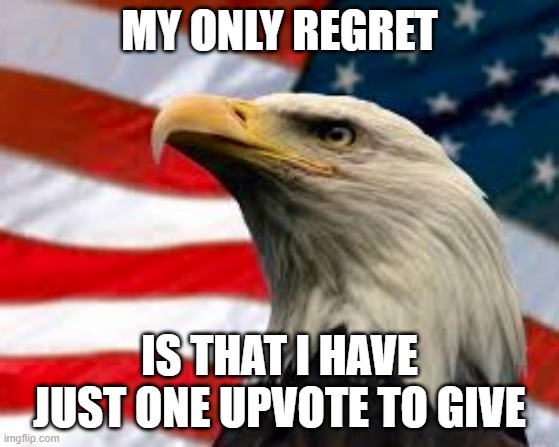 Murica Patriotic Eagle | MY ONLY REGRET IS THAT I HAVE JUST ONE UPVOTE TO GIVE | image tagged in murica patriotic eagle | made w/ Imgflip meme maker