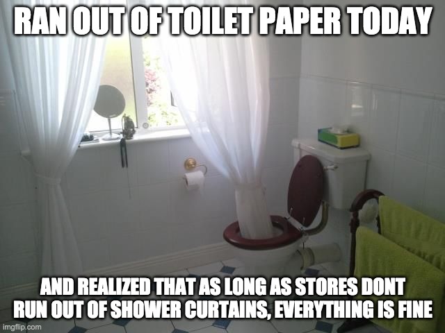 RAN OUT OF TOILET PAPER TODAY; AND REALIZED THAT AS LONG AS STORES DONT RUN OUT OF SHOWER CURTAINS, EVERYTHING IS FINE | made w/ Imgflip meme maker