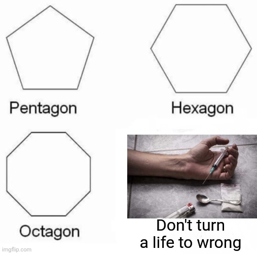-From nature essence they run in strictly time for fix. | Don't turn a life to wrong | image tagged in memes,pentagon hexagon octagon,run for your life,gone wrong,beware,theneedledrop | made w/ Imgflip meme maker