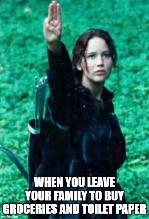 Hunger games | WHEN YOU LEAVE YOUR FAMILY TO BUY GROCERIES AND TOILET PAPER | image tagged in hunger games | made w/ Imgflip meme maker