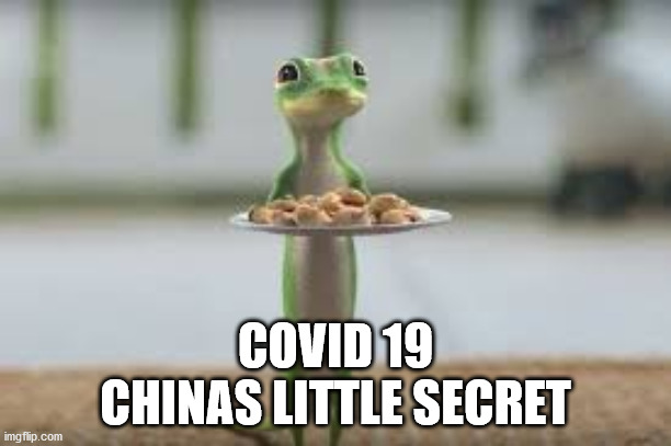 COVID 19
CHINAS LITTLE SECRET | image tagged in covid-19,china | made w/ Imgflip meme maker