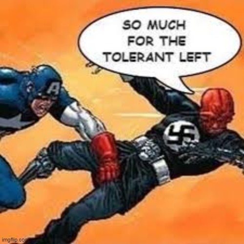 TOLERANT | image tagged in captain america,red skull,democrat,republican,nazi,tolerant | made w/ Imgflip meme maker