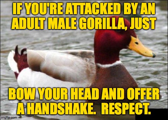 Malicious Advice Mallard | IF YOU'RE ATTACKED BY AN
ADULT MALE GORILLA, JUST; BOW YOUR HEAD AND OFFER
A HANDSHAKE.  RESPECT. | image tagged in memes,malicious advice mallard,life hacks,respect,how things work,food chain | made w/ Imgflip meme maker