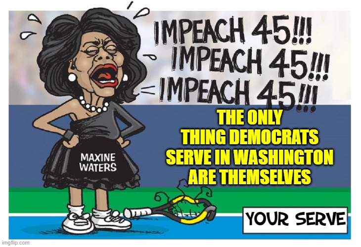 Politicians ALL say they came to Washington to "serve" --- RIGHT! | THE ONLY THING DEMOCRATS SERVE IN WASHINGTON ARE THEMSELVES YOUR SERVE | image tagged in vince vance,tennis,serve,maxine waters,impeach 45,drain the swamp trump | made w/ Imgflip meme maker