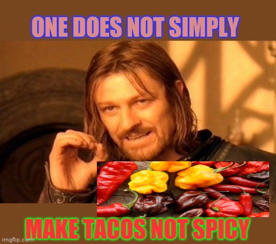 The hotter the better my friends- Feel the Bern | ONE DOES NOT SIMPLY; MAKE TACOS NOT SPICY | image tagged in memes,one does not simply,taco tuesday,hot sauce,spicy memes | made w/ Imgflip meme maker