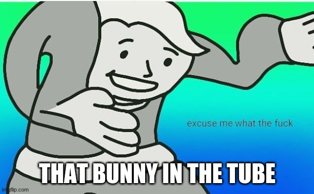 Fallout boy excuse me wyf | THAT BUNNY IN THE TUBE | image tagged in fallout boy excuse me wyf | made w/ Imgflip meme maker