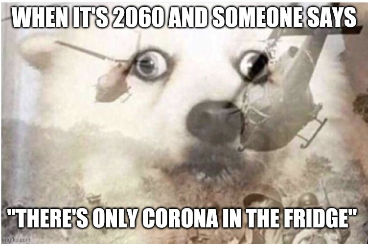 Vietnam dog | WHEN IT'S 2060 AND SOMEONE SAYS; "THERE'S ONLY CORONA IN THE FRIDGE" | image tagged in vietnam dog | made w/ Imgflip meme maker