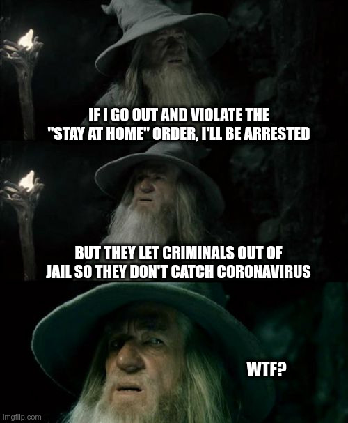 Confused Gandalf Meme | IF I GO OUT AND VIOLATE THE "STAY AT HOME" ORDER, I'LL BE ARRESTED; BUT THEY LET CRIMINALS OUT OF JAIL SO THEY DON'T CATCH CORONAVIRUS; WTF? | image tagged in memes,confused gandalf,stay at home,coronavirus,wtf | made w/ Imgflip meme maker