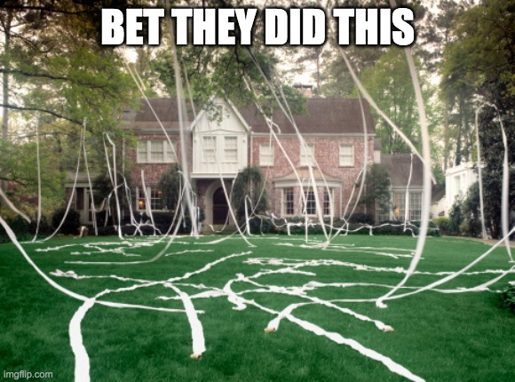 Toilet Paper house | BET THEY DID THIS | image tagged in toilet paper house | made w/ Imgflip meme maker