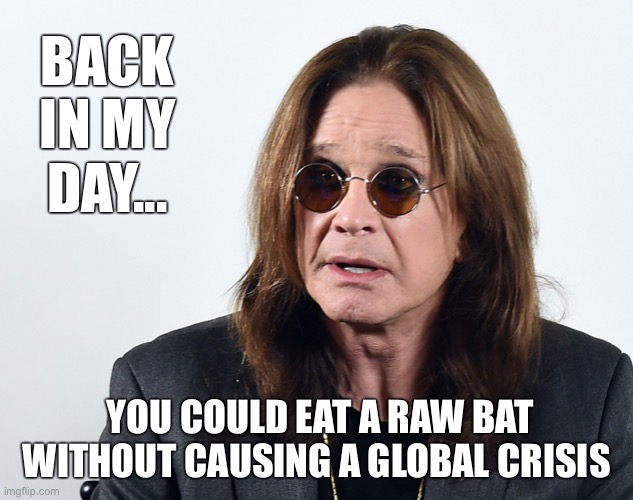 Those were simpler days! | BACK IN MY DAY... YOU COULD EAT A RAW BAT WITHOUT CAUSING A GLOBAL CRISIS | image tagged in coronavirus,bat,ozzy osbourne | made w/ Imgflip meme maker