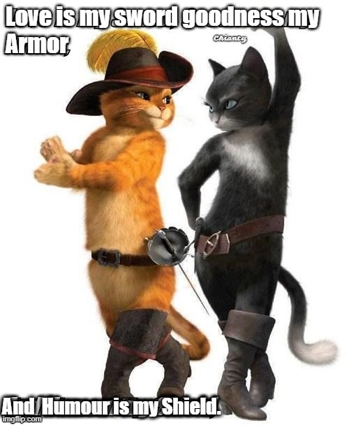 Love | And  Humour is my Shield. | image tagged in shield | made w/ Imgflip meme maker