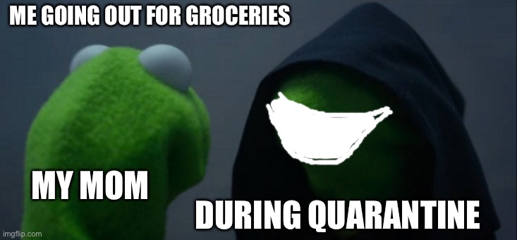 Evil Kermit | ME GOING OUT FOR GROCERIES; MY MOM; DURING QUARANTINE | image tagged in memes,evil kermit | made w/ Imgflip meme maker