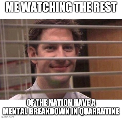 quarantine sucks | ME WATCHING THE REST; OF THE NATION HAVE A MENTAL BREAKDOWN IN QUARANTINE | image tagged in jim office blinds,social distancing,coronavirus,quarantine | made w/ Imgflip meme maker
